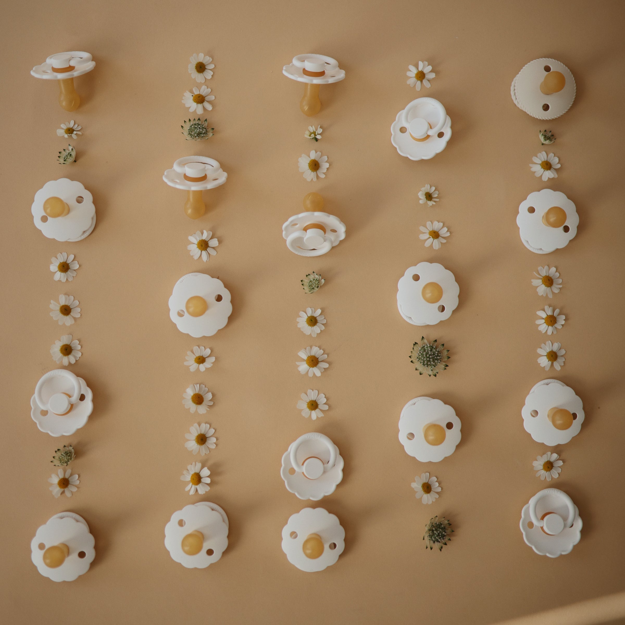 FRIGG Daisy Natural Rubber Pacifier 2 - Pack - Tenth & Pine - FRIGG PACIFIERS - 6 - 18 months - Pink Cream/Poppy