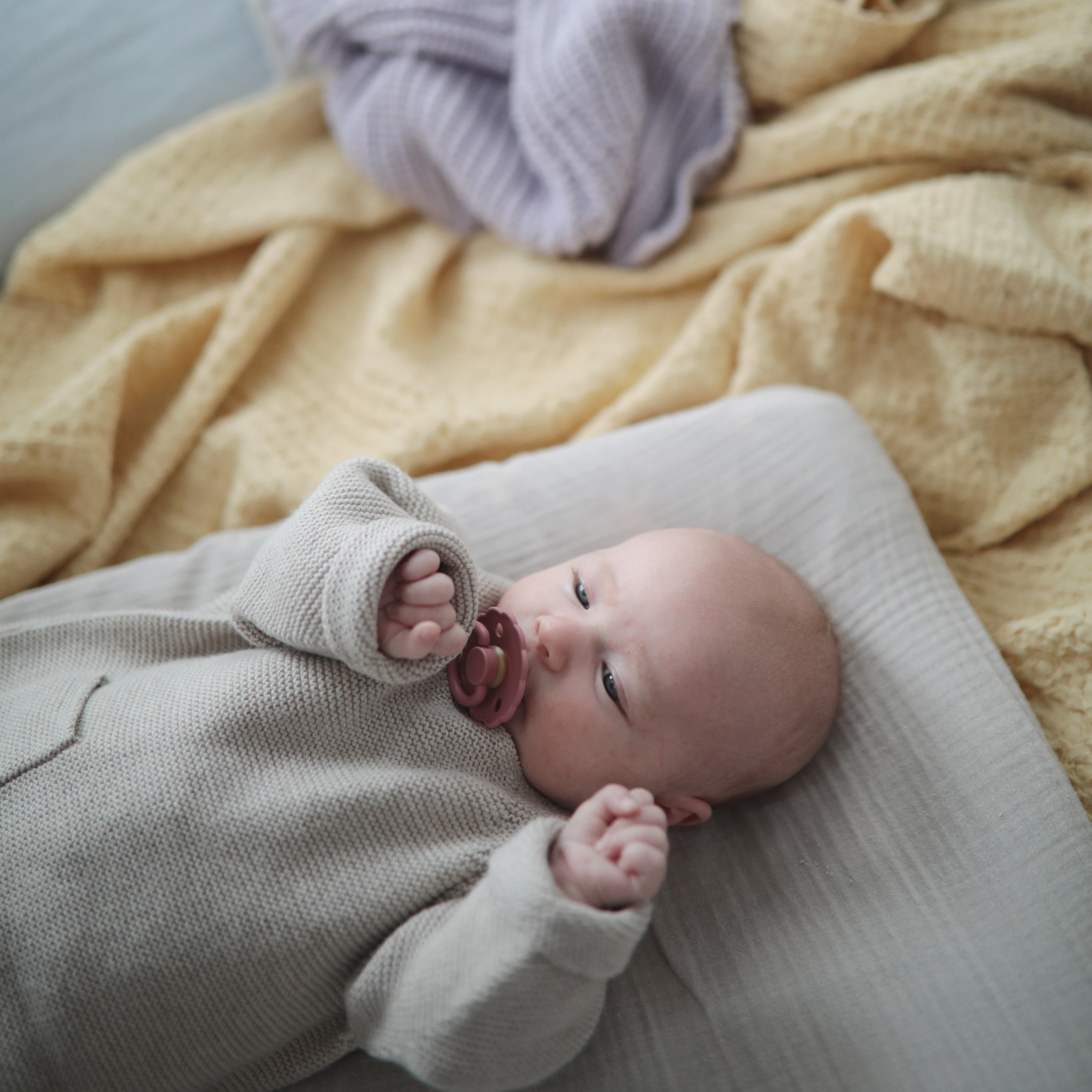 FRIGG Daisy Natural Rubber Pacifier 2 - Pack - Tenth & Pine - FRIGG PACIFIERS - 6 - 18 months - Pink Cream/Poppy