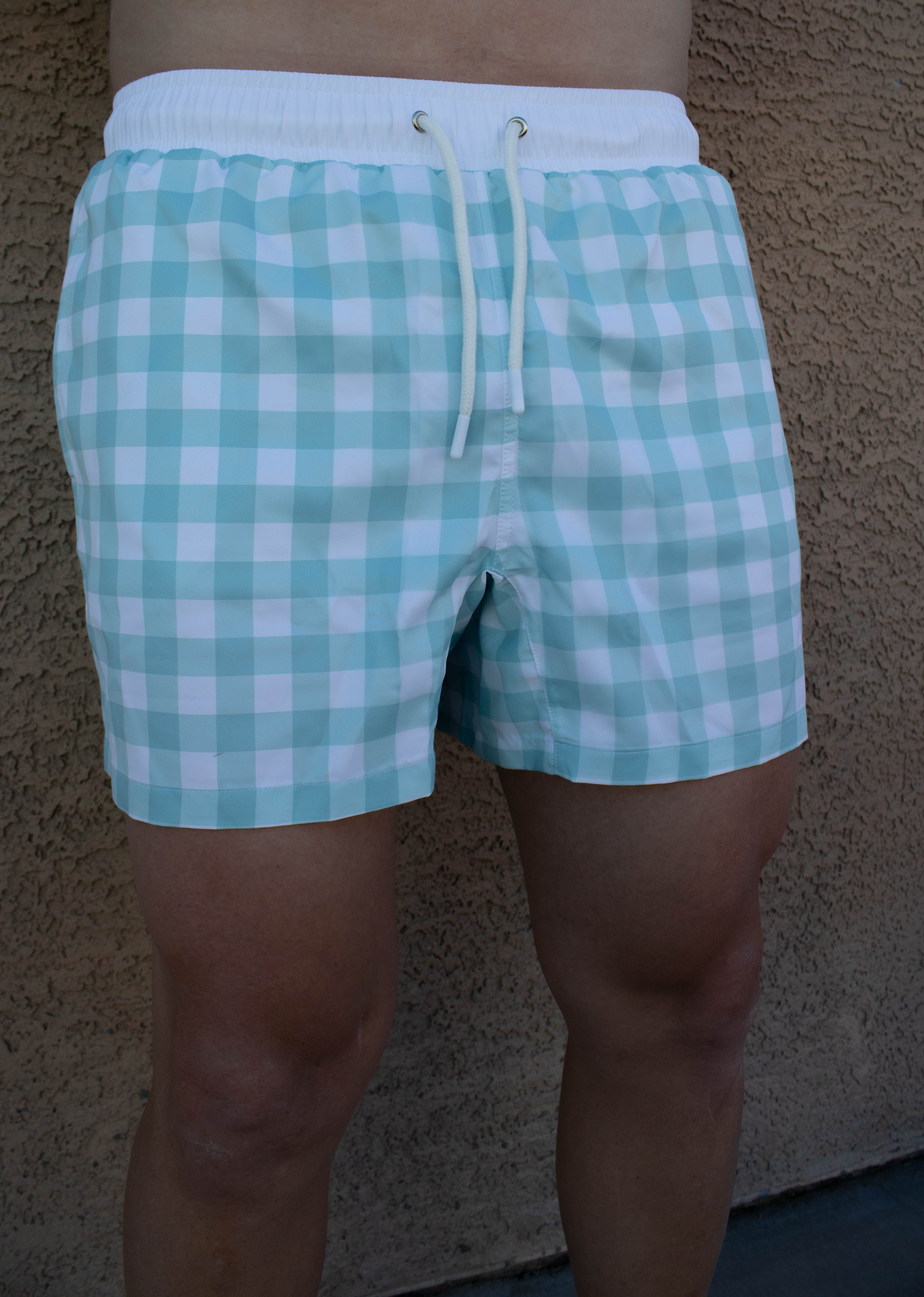 Aqua Mens Swim Shorts