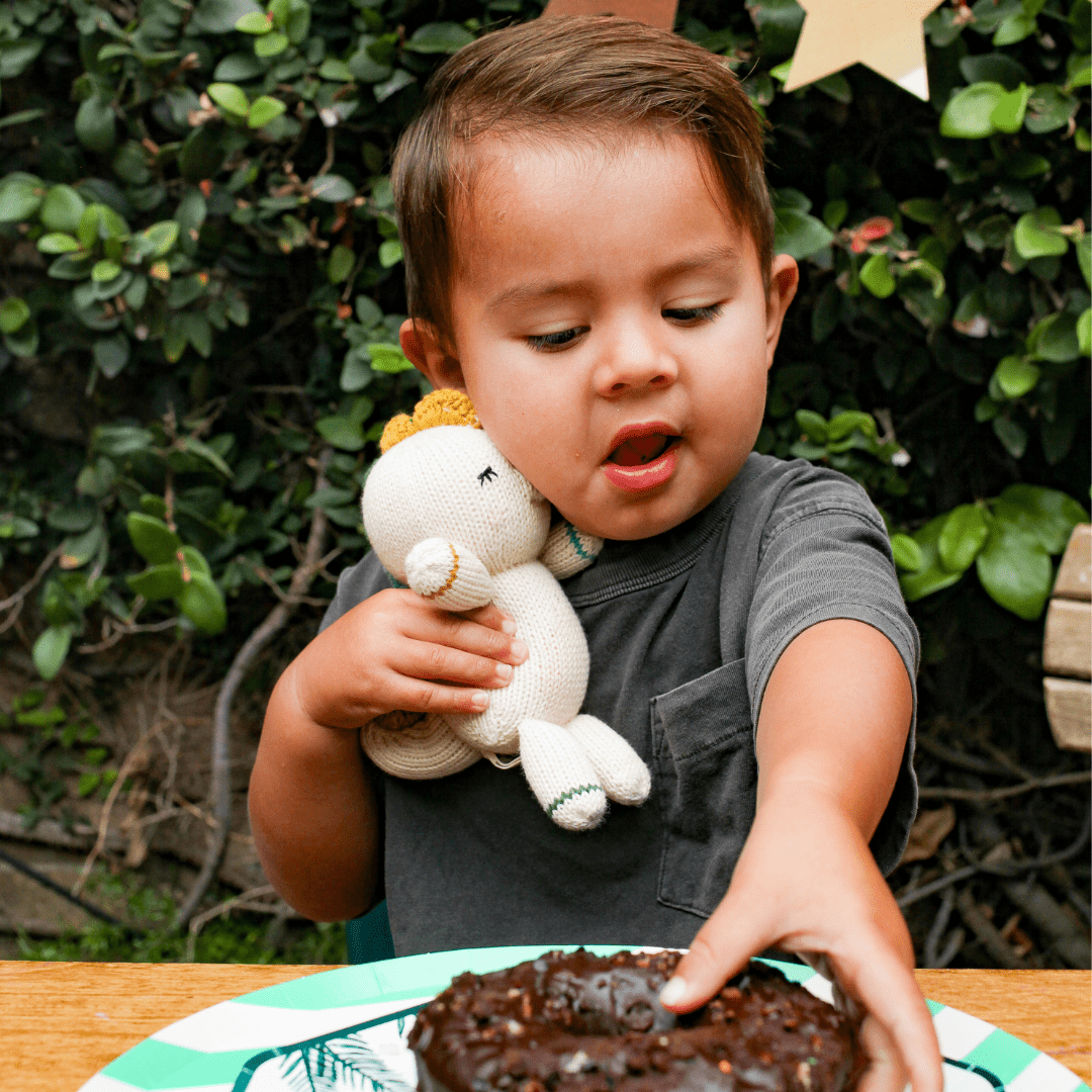 Baby Stegasaurous - Tenth & Pine -