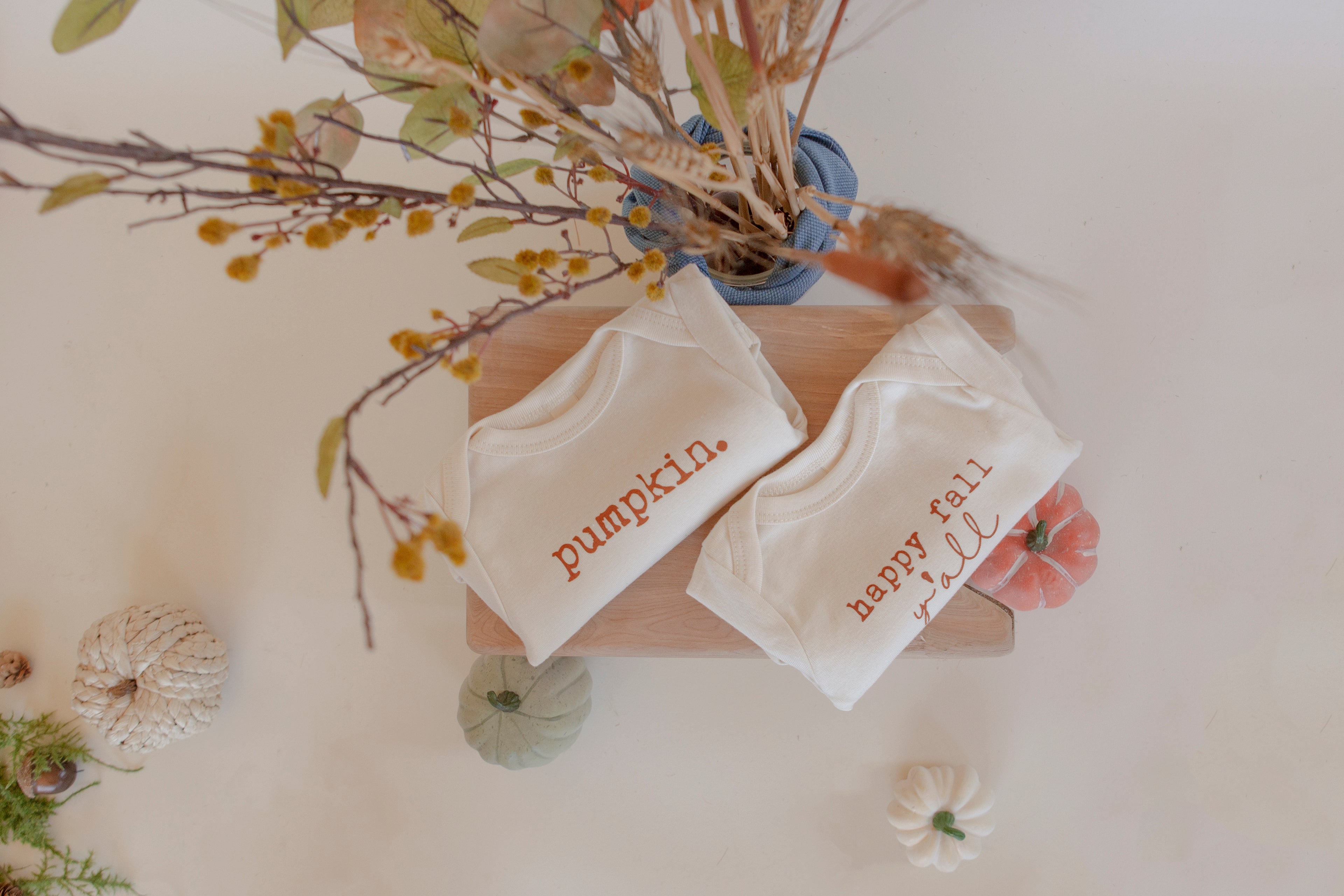 Pumpkin Organic Bodysuit Long Sleeve