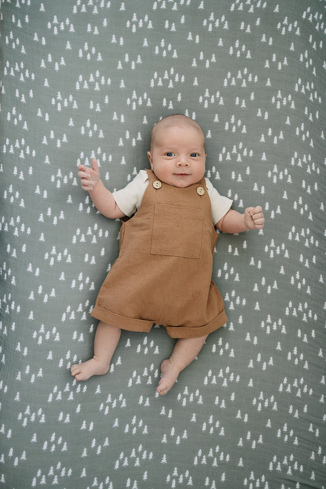 Pines Muslin Crib Sheet - Tenth & Pine -