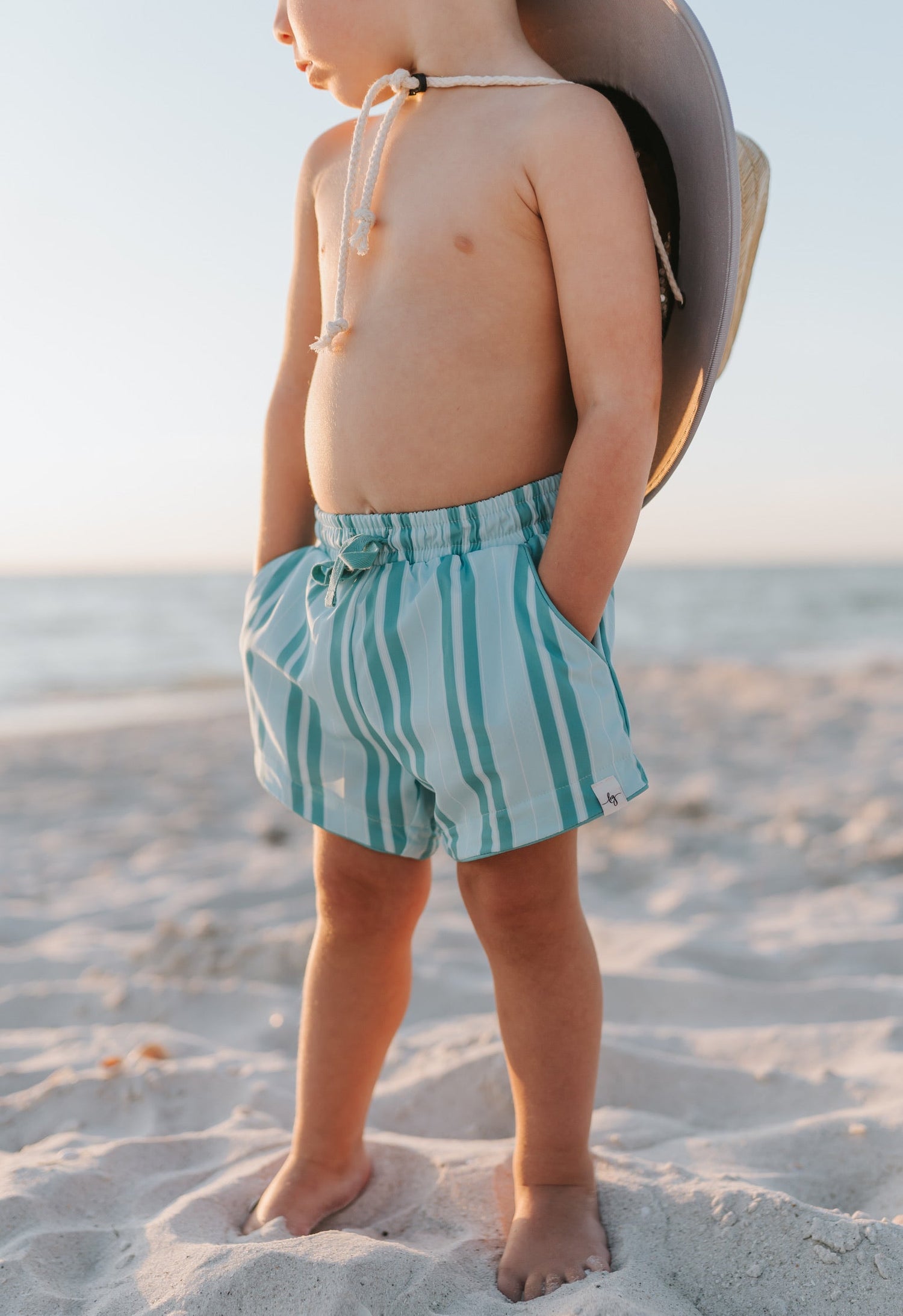 Candyland Stripe Swim Shorts