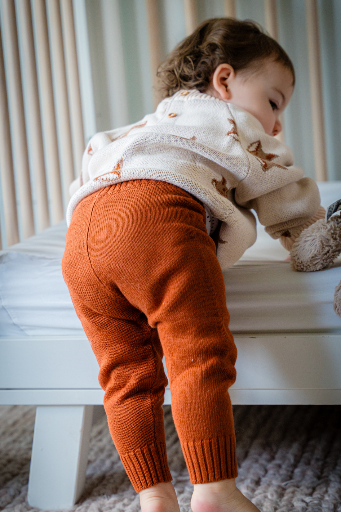 Pima Cotton Knit Jogger in Mocha