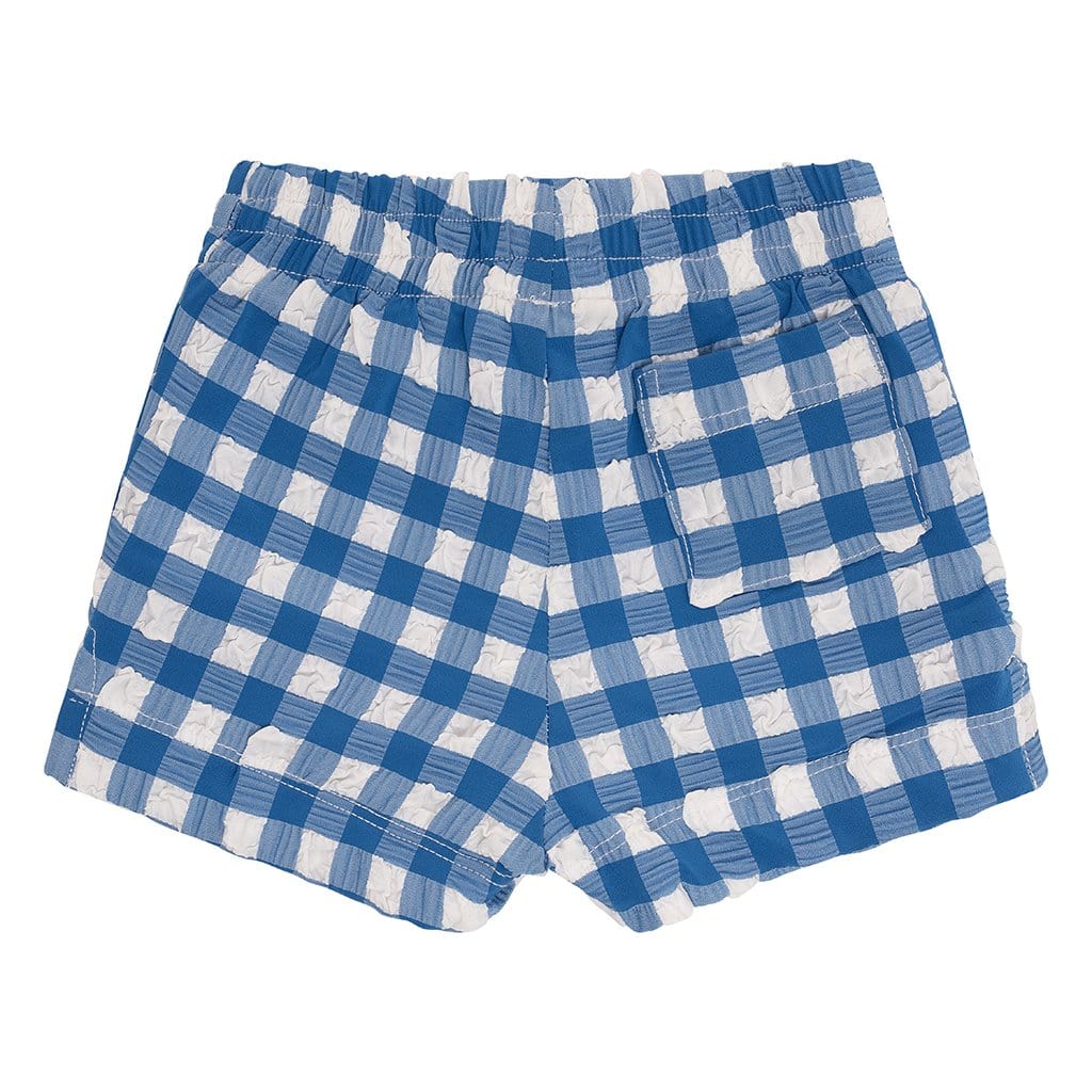 Blue Gingham Mini Swim Trunk - Tenth &amp; Pine - Mini Swimwear - 0 - 6 Months - Blue Gingham - Montce