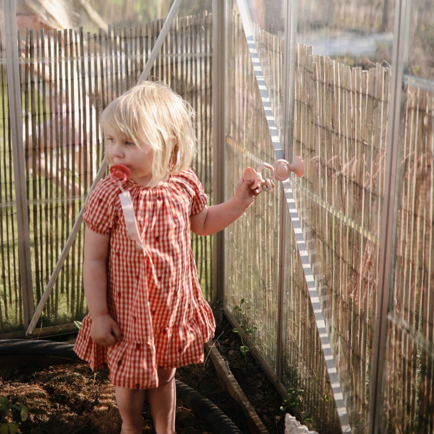 HexaPop Suction Toy - Tenth &amp; Pine - toys - Shifting Sand