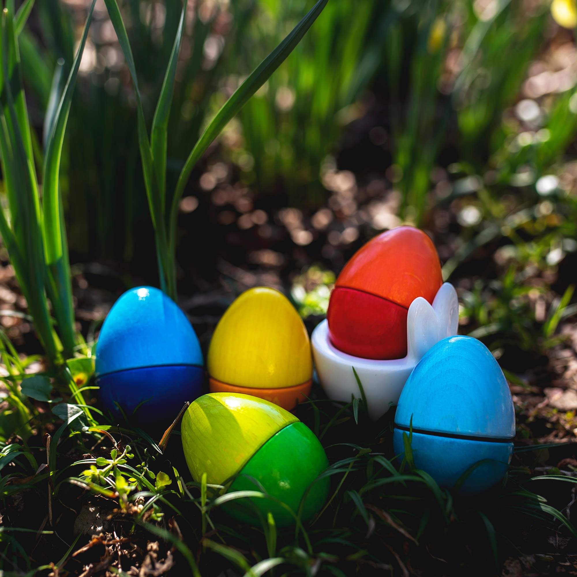 Fun with Sounds Wooden Eggs