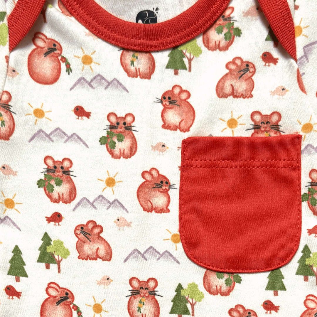 Pika Short Set | Organic Pima Cotton - Tenth &amp; Pine - Summer Outfits - 0 - 3M - Kolorful