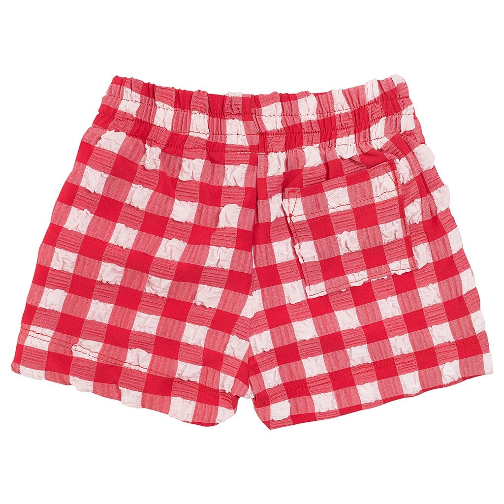 Red Gingham Mini Swim Trunk - Tenth &amp; Pine - Mini Swimwear - 0 - 6 Months - Red Gingham - Montce